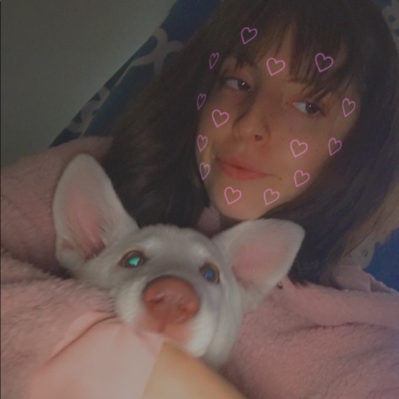 Meet your Posher, Jenna - Picture 2 of 6